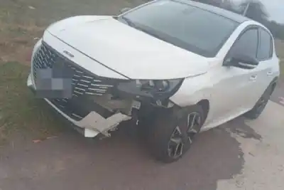 Chocó contra un cerdo en la Ruta 89: el insólito siniestro que terminó con daños materiales