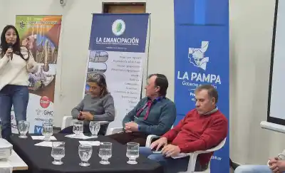 Pasturas megatérmicas: la alternativa que gana terreno en el sur pampeano para sostener la cadena forrajera