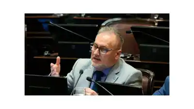 Lewandowski reclamó en el Congreso por las deudas de familias y pymes: qué propone para frenar los embargos