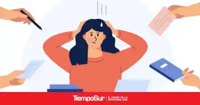 Violencia laboral en Santa Cruz: proponen crear un observatorio provincial para prevenirla