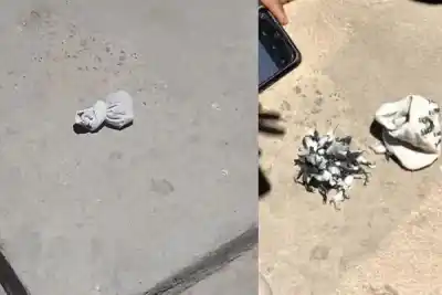 Ocultó 30 envoltorios de cocaína en una media: el insólito método que delató al sospechoso en Mariano Moreno
