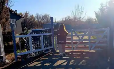 Rawson: censan perros y gatos en Rodaj Park para una campaña gratuita de castración