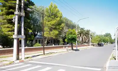 Santa Rosa: convocan a vecinos para relevar el arbolado urbano