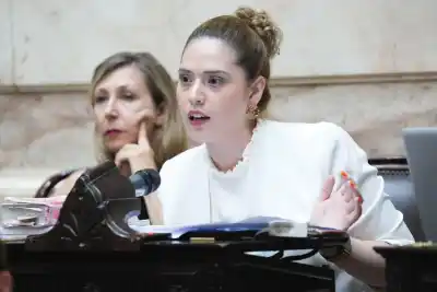 Denuncian un vaciamiento millonario en la obra social de las Fuerzas Armadas: apuntan a un ex ministro