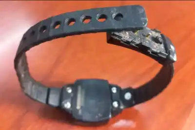 Dañó su tobillera electrónica y fue detenido en Paraná