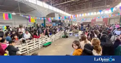 Superó las expectativas: la primera Expo Campo Infantil que deslumbró a las familias de Río Gallegos