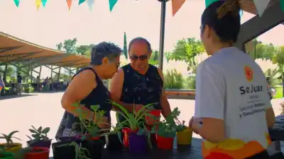 Plan gratis en Rivadavia: feria de emprendedores, sorteos y paseo al aire libre