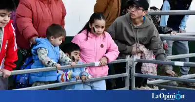 Los chicos coparon la Rural: así fue la primera Expo Campo Infantil