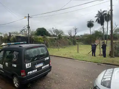Un pitbull murió electrocutado y su dueño evitó tocar el portón con corriente