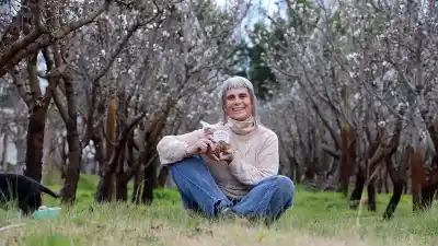 De jubilada a productora: la exdocente neuquina que cosecha almendras en su patio