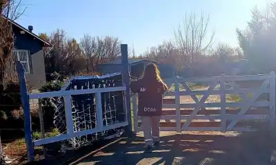 Castraciones y vacunas gratis en Rodaj Park: cómo anotar a tu mascota