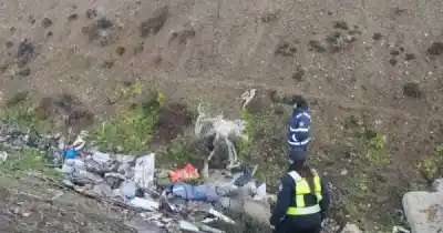 Rastrillaje en la Reserva Costera Río Chico: buscan a dos hombres desaparecidos