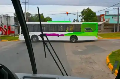Despidos en la empresa de colectivos de Paraná: qué pasó con los choferes