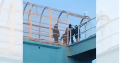 Intervención policial en Río Gallegos: asistieron a un hombre en plena crisis en plena Autovía 17 de Octubre
