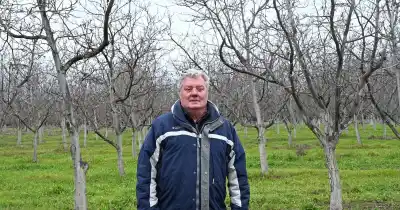 Dejó el petróleo por las almendras: la historia del geólogo que hoy cosecha 67 hectáreas en Río Negro