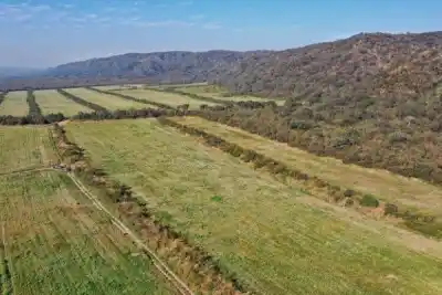 Control ambiental en Guampacha: notifican a productores por irregularidades