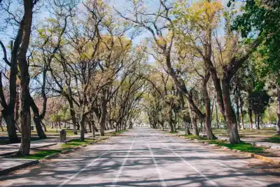 San Juan: de 8° a 22° este domingo, con bruma y sin lluvias