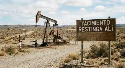 Petróleo en Patagonia: se abren las ofertas por Restinga Alí y Palermo Aike estira los plazos