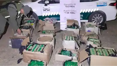 Secuestraron 186 kilos de coca en un camión que iba de Jujuy y Salta a Buenos Aires