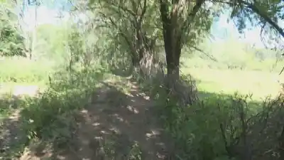 El lugar oculto donde hallaron a la nena desaparecida en Cosquín: un predio abandonado que esconde un pasado inesperado