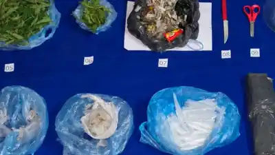 Cayó una banda narco en San Pedro: tres detenidos y un arsenal de droga