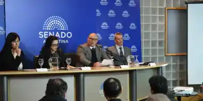 Alarma en el Senado: la natalidad se desplomó y proponen un pacto de 3 hijos por familia