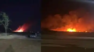 El fuego volvió al Médano de Oro y amenazó un loteo con decenas de familias