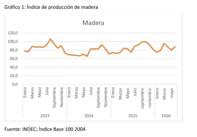 La caída del 40% en el consumo de madera que obliga a la industria a reconvertirse