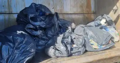 Sin cadena de frío ni habilitación: decomisaron 122 kilos de pollo en San Carlos