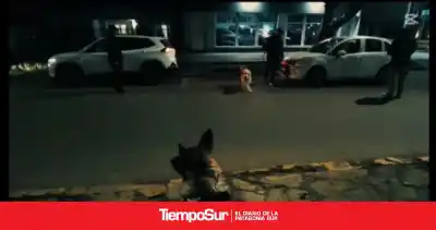 Secuestran 10 rodados, detienen a cuatro personas e incautan más de un kilo de coca en San Julián