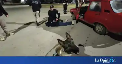 Cocaína en un colectivo y 35 actas: el megaoperativo que sacudió Puerto San Julián