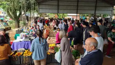 El granizo destrozó invernaderos y cultivos en el sur de Misiones
