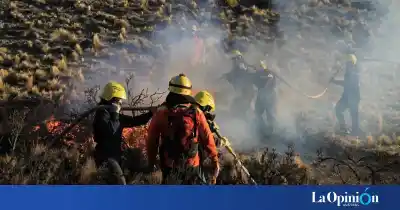 Santa Cruz busca brigadistas para la temporada de incendios: cómo sumarse