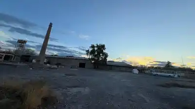 Crisis vitivinícola: la mitad de las bodegas de San Juan podría desaparecer