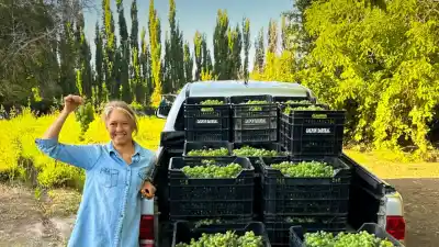 El vino de altura que nace bajo los cielos más limpios de Latinoamérica