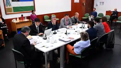 La Justicia Electoral rionegrina, en la mira: el Consejo define cargos clave este lunes