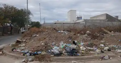 Denuncian un microbasural en la zona norte: hay ratas, alacranes y hasta animales muertos