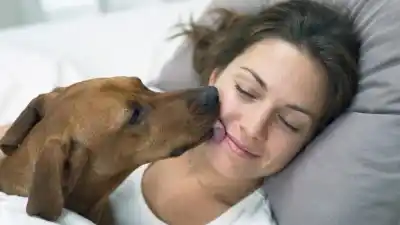 Alerta en Jujuy por hidatidosis: la enfermedad que se contagia con un beso de tu perro