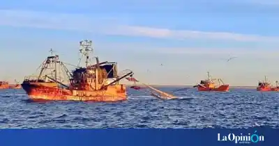 Cierran dos zonas de pesca frente a Santa Cruz por la captura de merluza juvenil