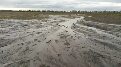 El Niño vuelve con todo: hasta 90% más de lluvias y un dolor de cabeza para el campo