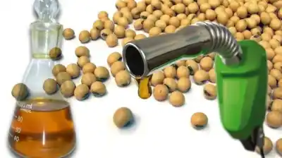 El corte de biodiésel en Argentina es del 7,5%: la industria pide una nueva ley