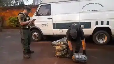 Huyó de Gendarmería y abandonó 15 kilos de marihuana en la Ruta 12