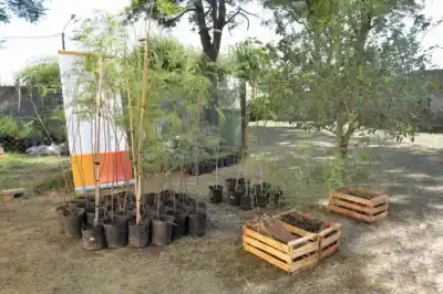 Arroyito regala árboles nativos a los vecinos por el Día del Árbol