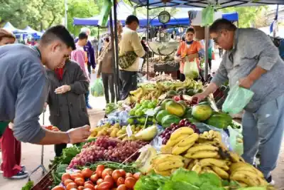 Ferias de la Ciudad: la agenda de septiembre con productos frescos y precios convenientes