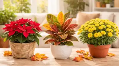 El secreto de las plantas que desafían al otoño y llenan de color tu casa