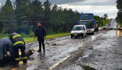 Temporal en Misiones: voladuras de techos y cortes de ruta en Roca, Corpus y Santo Pipó