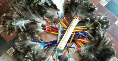 Secuestraron más de 50 plumeros de ñandú y choique en Maipú