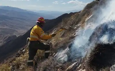 Incendio en Juella: brigadista herida y focos activos en una ladera a 2.400 metros