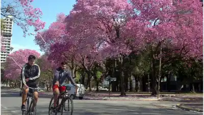 Lluvias por encima de lo normal: cómo estará la primavera en Santa Fe
