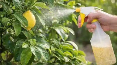 El truco prohibido que los viveros no quieren que sepas: salvá tu limonero con un ingrediente de la cocina